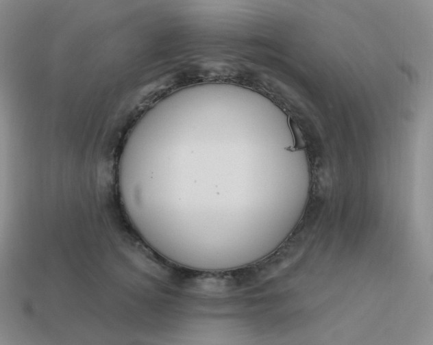 X0000114020756200910161756