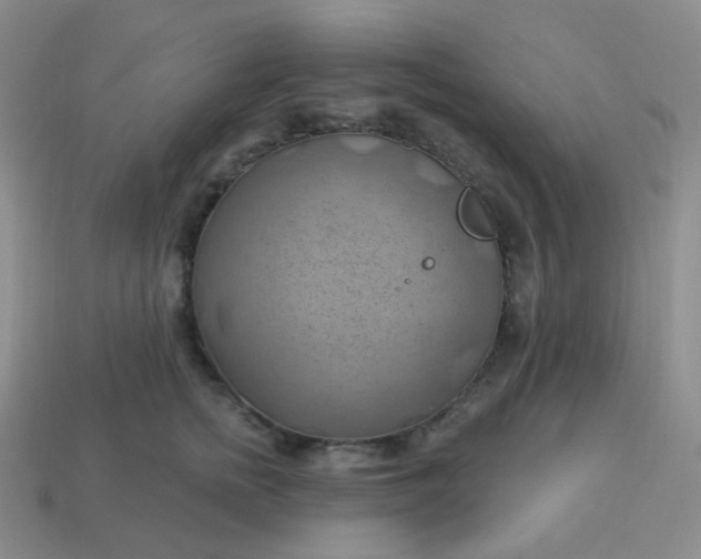 X0000114020758200910161756