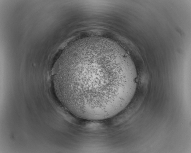 X0000114020759200910161756