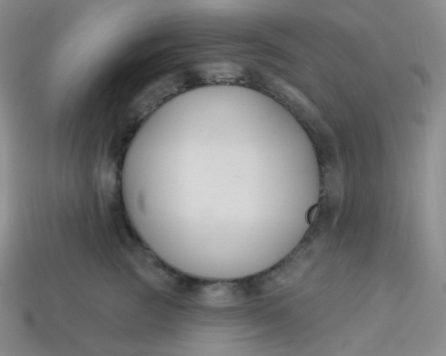 X0000114020761200910161756