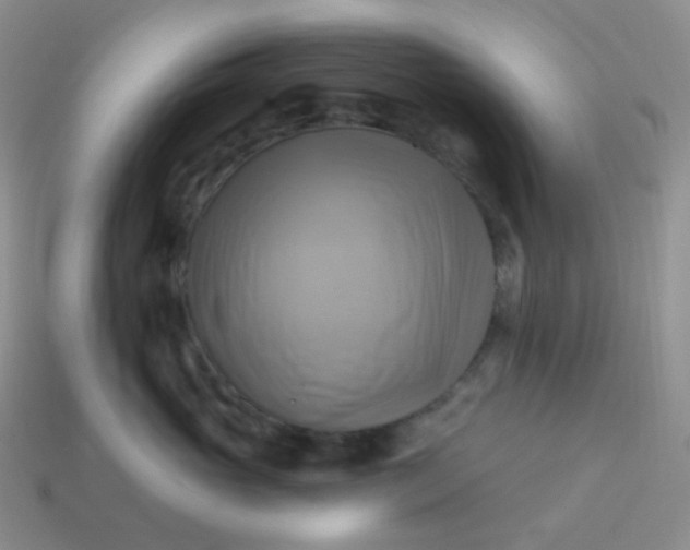 X0000114020765200910161756