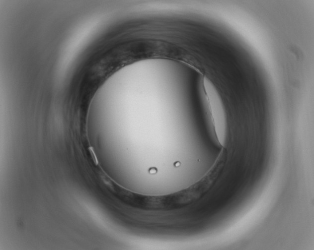 X0000114020766200910161756