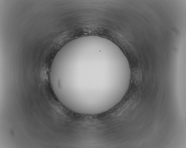 X0000114020770200910161756