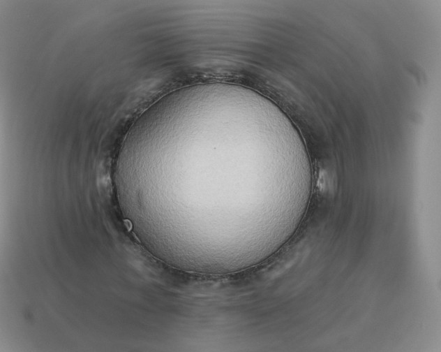 X0000114020771200910161756