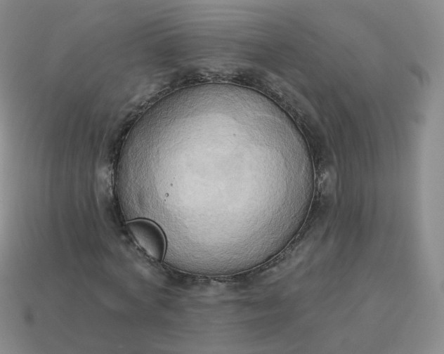 X0000114020772200910161756