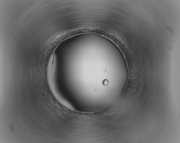 X0000114020773200910161756