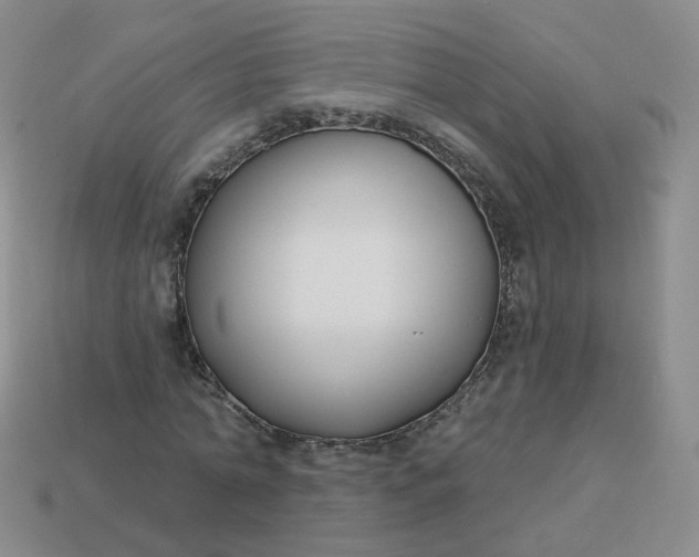 X0000114020774200910161756