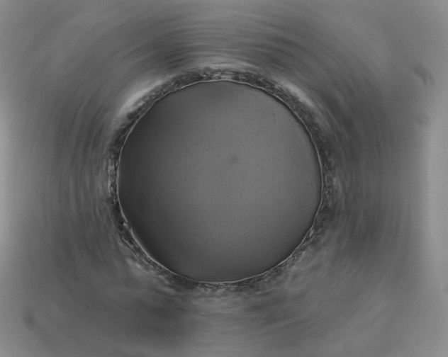 X0000114020775200910161756