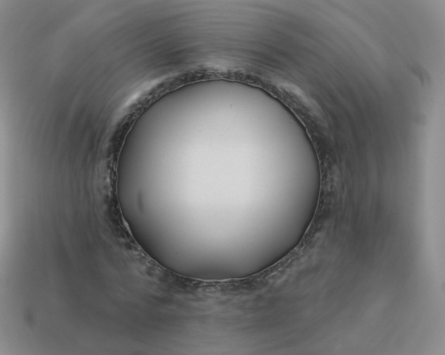 X0000114020776200910161756