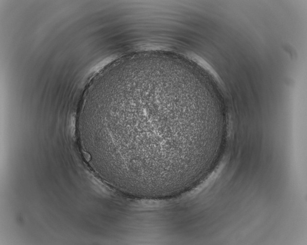 X0000114020777200910161756