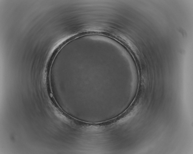 X0000114020779200910161756