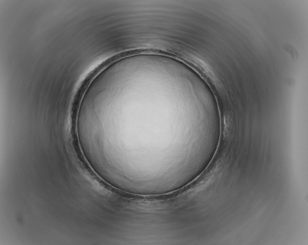 X0000114020780200910161756