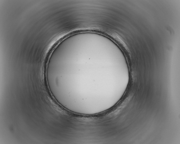 X0000114020781200910161756