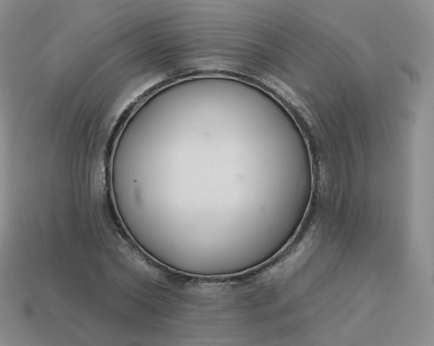 X0000114020782200910161756