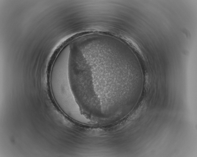 X0000114020784200910161756