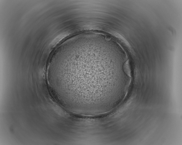 X0000114020785200910161756