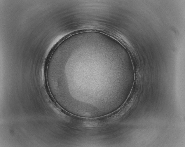 X0000114020788200910161755