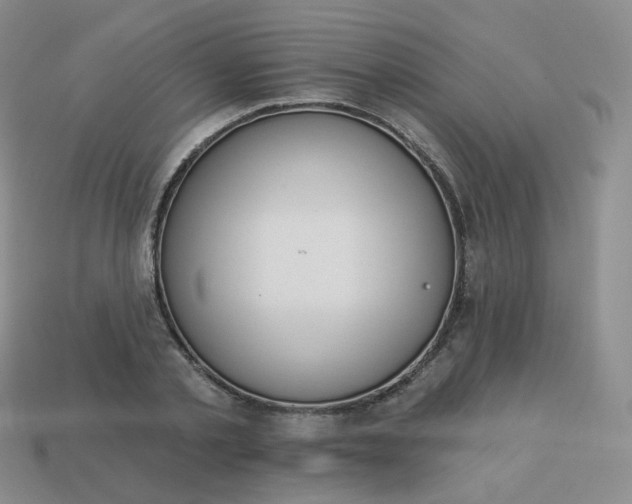 X0000114020789200910161755