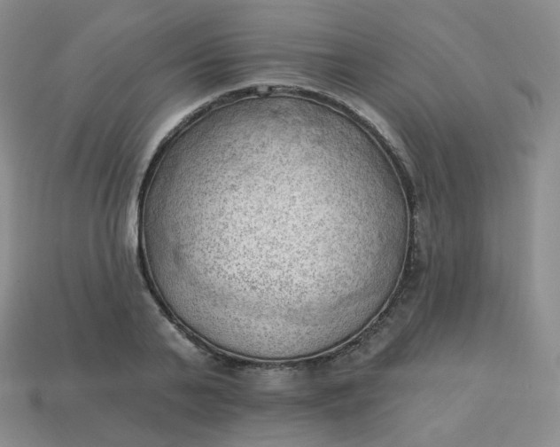 X0000114020791200910161755