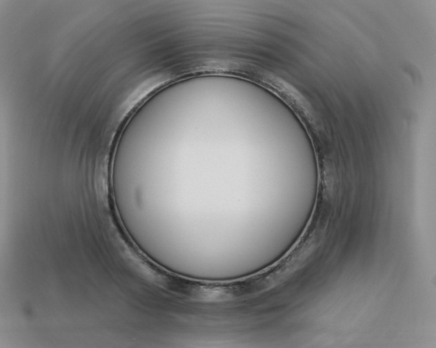 X0000114020794200910161755