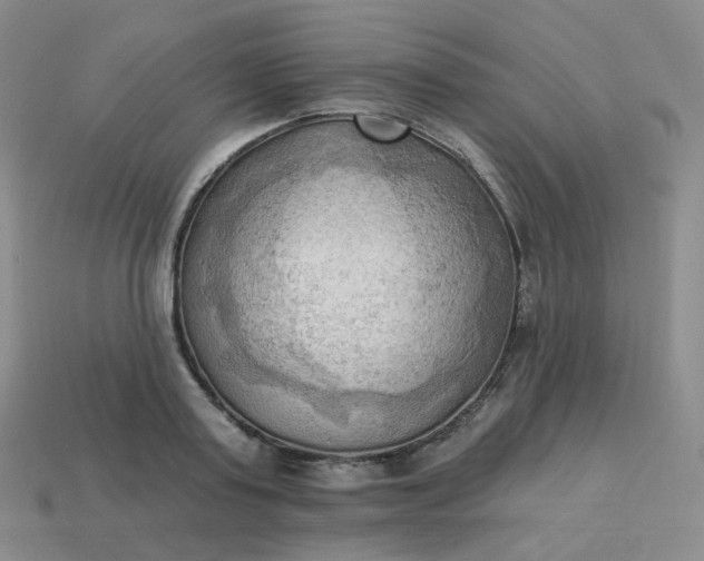 X0000114020795200910161755