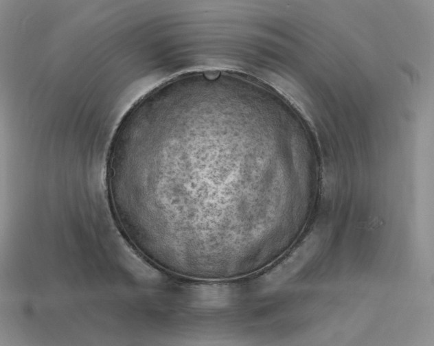 X0000114020797200910161755