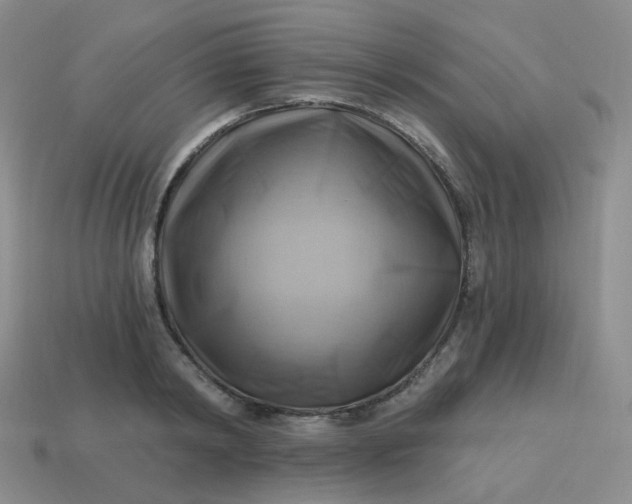 X0000114020798200910161755