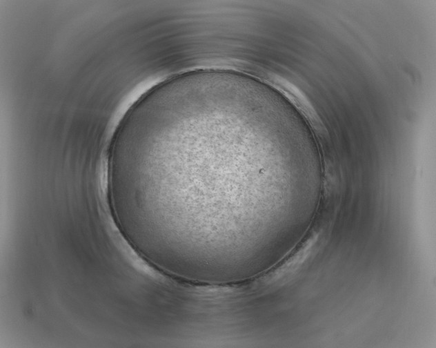 X0000114020804200910161755