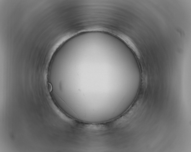 X0000114020805200910161755