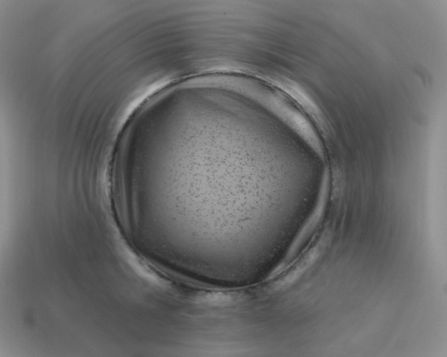 X0000114020806200910161755