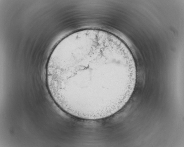 X0000114020807200910161755