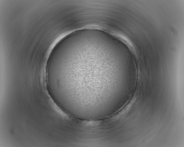 X0000114020808200910161755