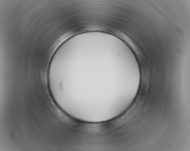 X0000114020810200910161755