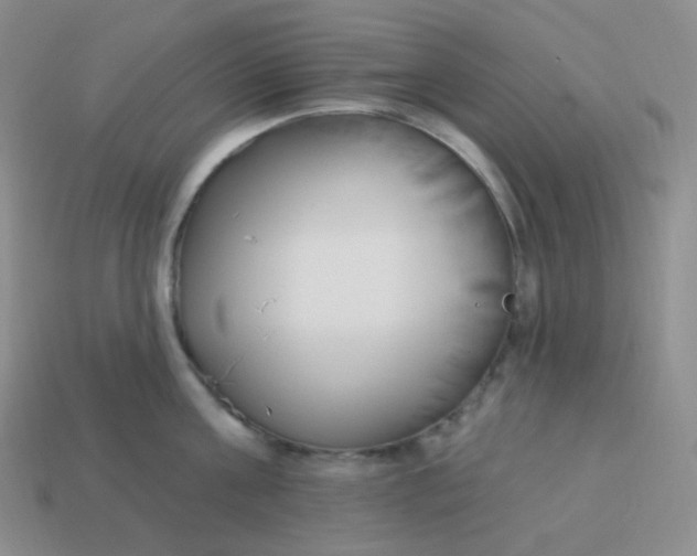 X0000114020811200910161755