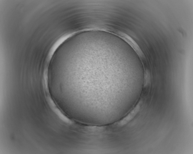 X0000114020812200910161755