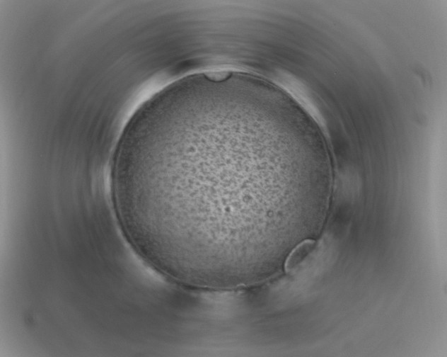 X0000114020813200910161755