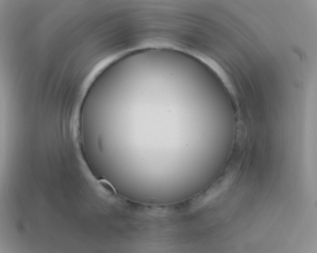 X0000114020815200910161755