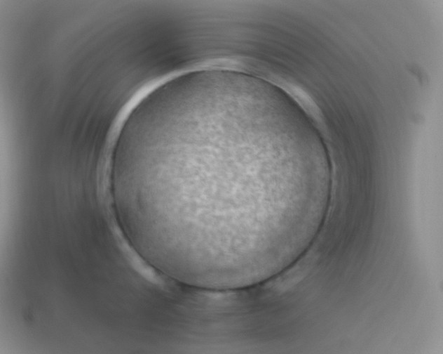 X0000114020816200910161755