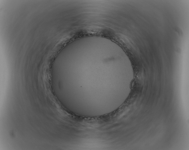 X0000114020817200910161754