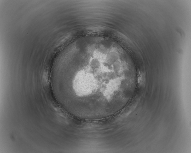 X0000114020819200910161754