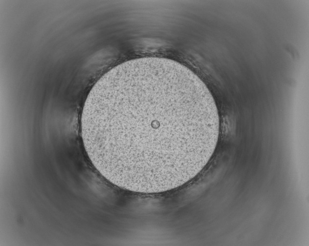 X0000114020820200910161754