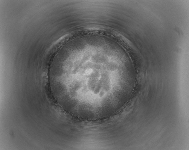 X0000114020821200910161754