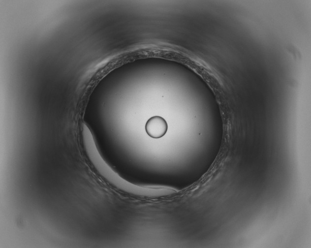 X0000114020822200910161754