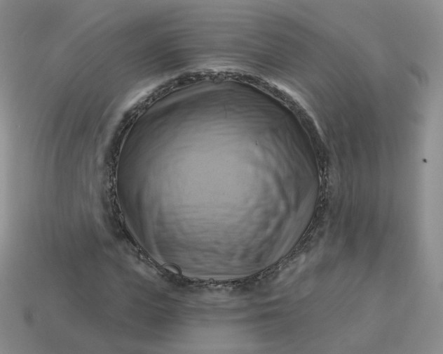 X0000114020823200910161754