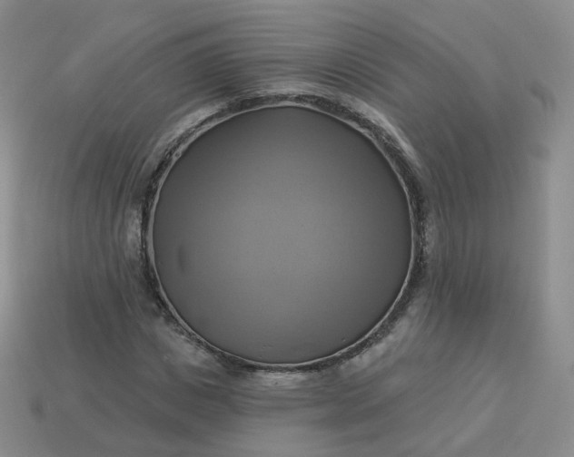 X0000114020825200910161754