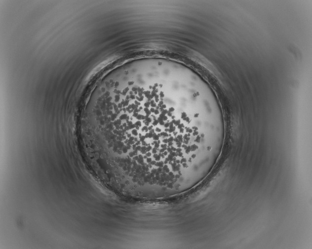 X0000114020826200910161755