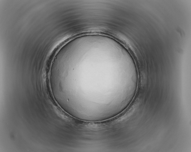 X0000114020827200910161755