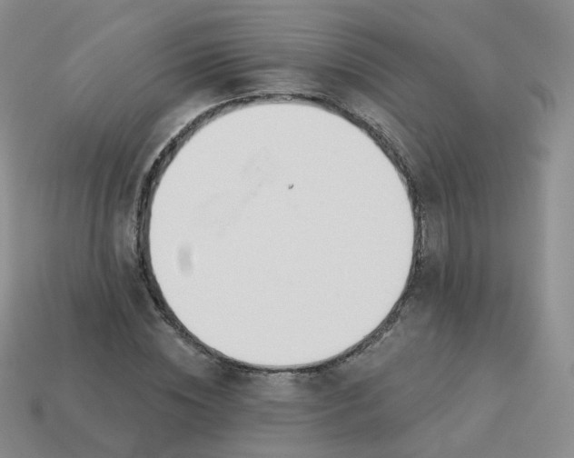 X0000114020828200910161755