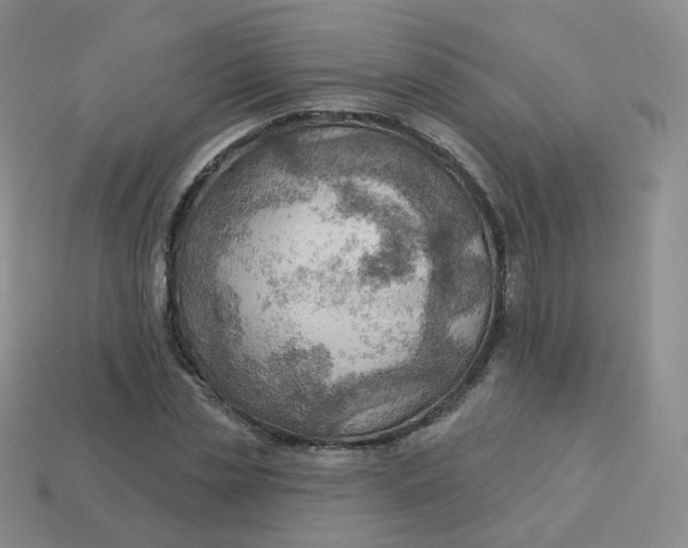 X0000114020829200910161755