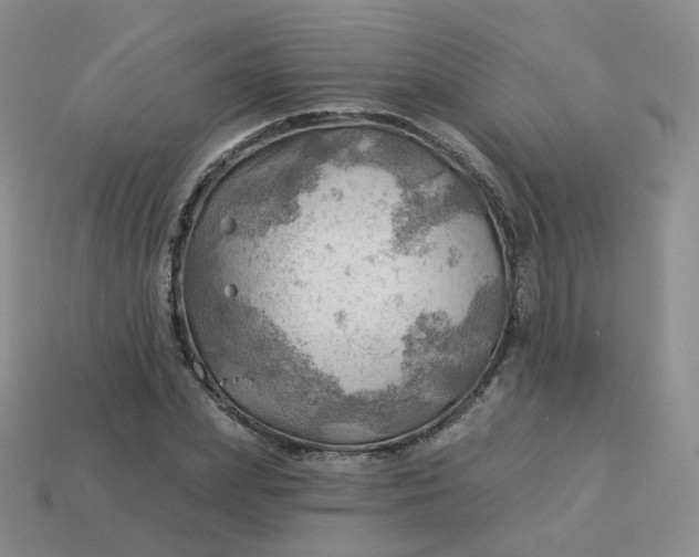 X0000114020831200910161755